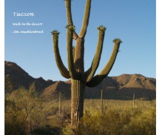 Tucson book cover