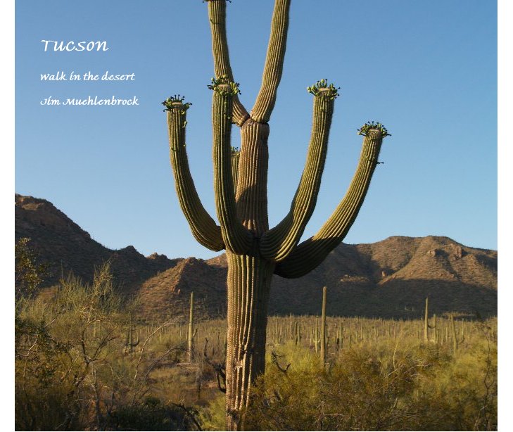 View Tucson by Jim Muehlenbrock