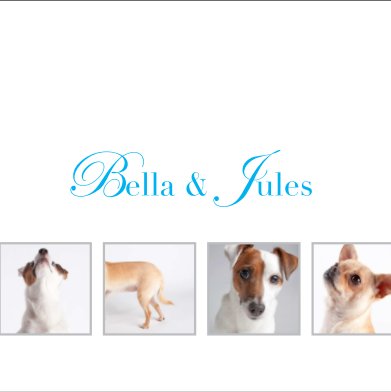 Bella & Jules book cover
