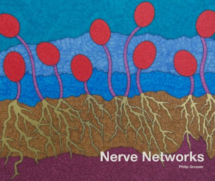 Nerve Networks book cover