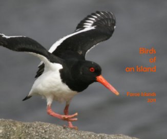Birds of an Island Faroe Islands 2011 book cover