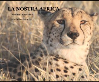 LA NOSTRA AFRICA book cover