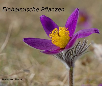 Einheimische Pflanzen book cover