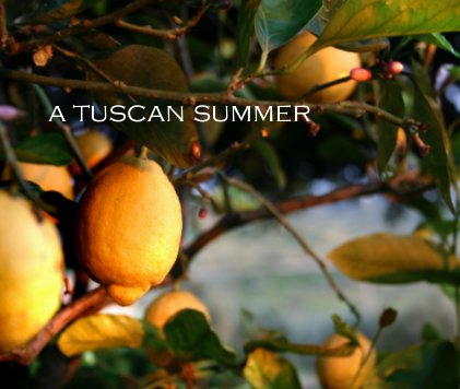 a tuscan summer book cover