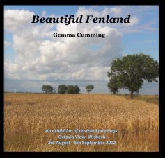 Beautiful Fenland book cover