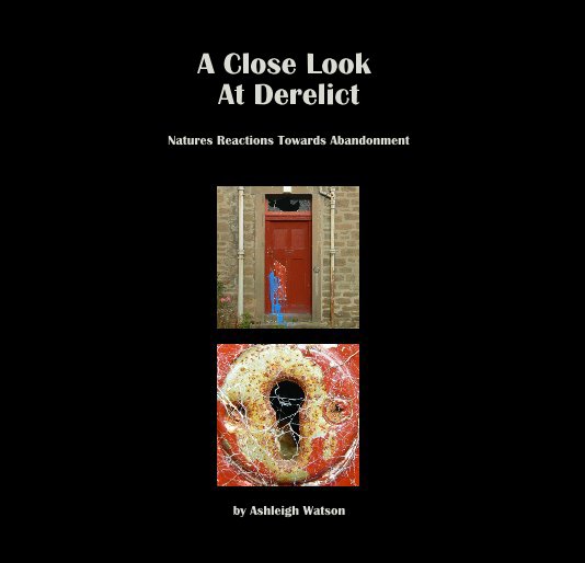 A Close Look At Derelict nach Ashleigh Watson anzeigen