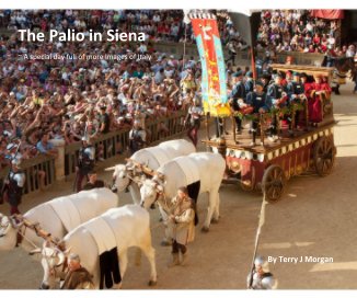 The Palio in Siena ~ A special day full of more Images of Italy By Terry J Morgan book cover