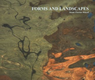 FORMS AND LANDSCAPES Susan Fletcher Witzell book cover