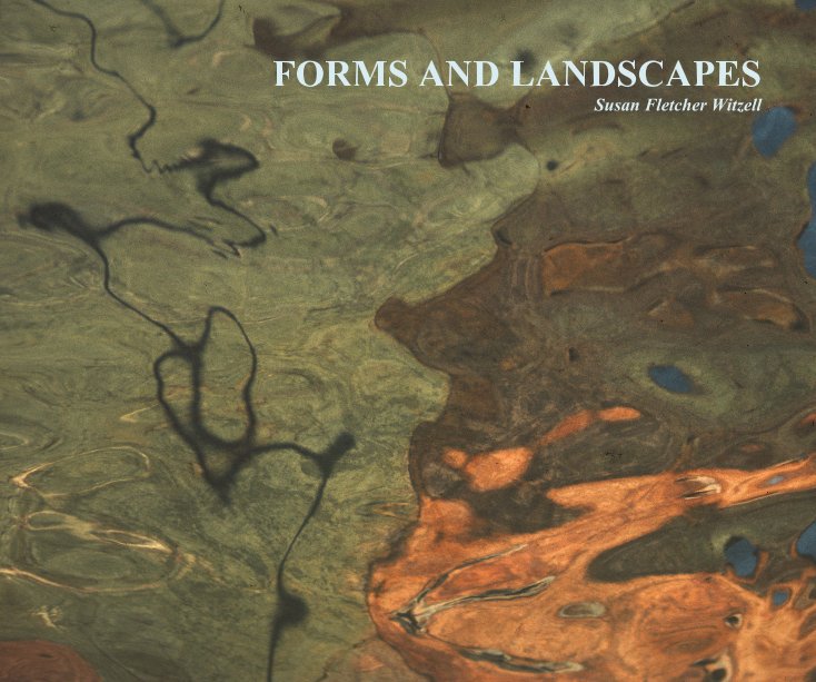 View FORMS AND LANDSCAPES Susan Fletcher Witzell by Susan Fletcher Witzell