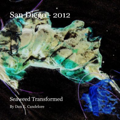 San Diego - 2012 book cover