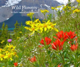 Wild Flowers book cover