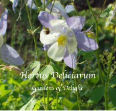 Hortus Deliciarum book cover
