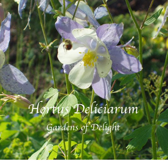 View Hortus Deliciarum by Sherwood Stockwell