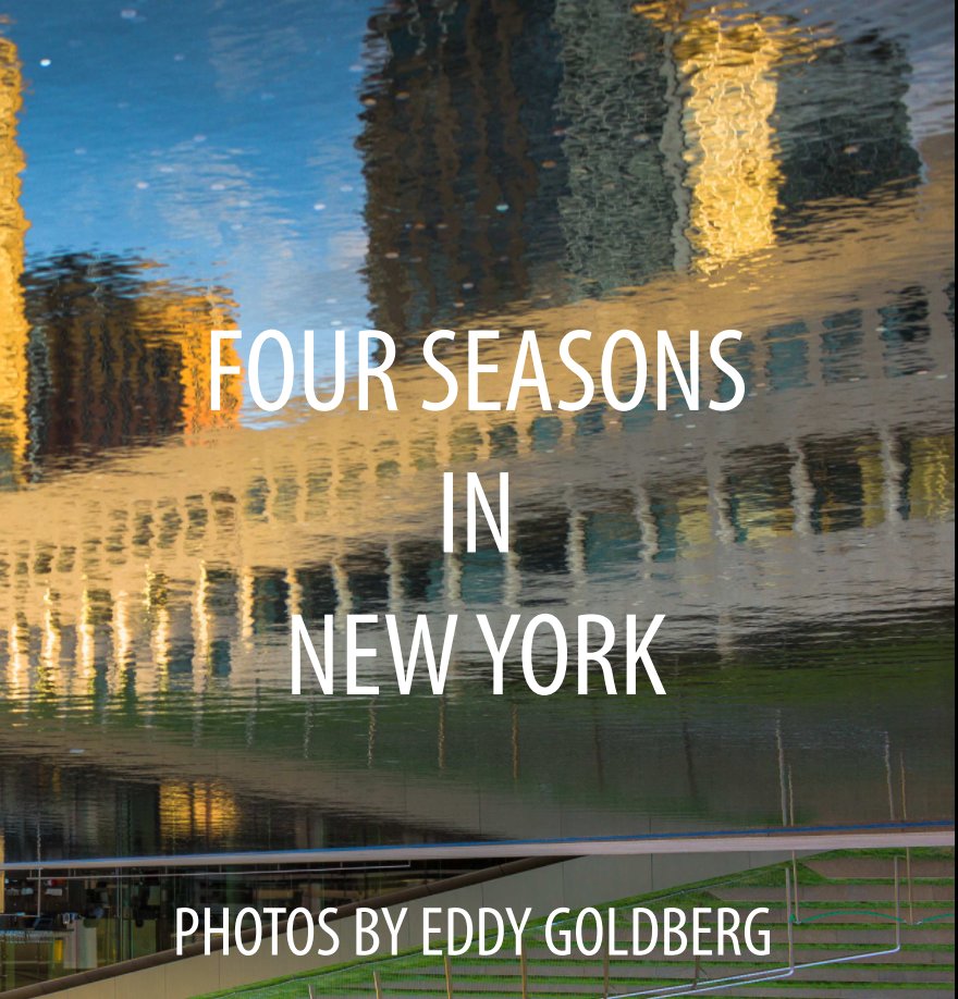 View NEW YORK IN FOUR SEASONS (DELUXE EDITION) by EDDY GOLDBERG