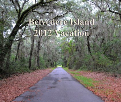 Belvedere Island Vacation book cover