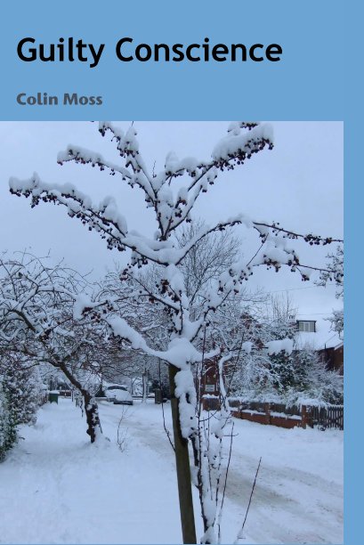 View Guilty Conscience by Colin Moss