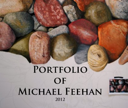 Portfolio of Michael Feehan 2012 book cover