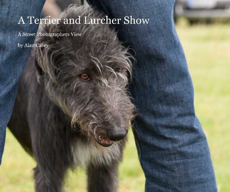 View A Terrier and Lurcher Show by Alan Casey