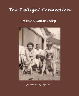 The Twilight Connection book cover