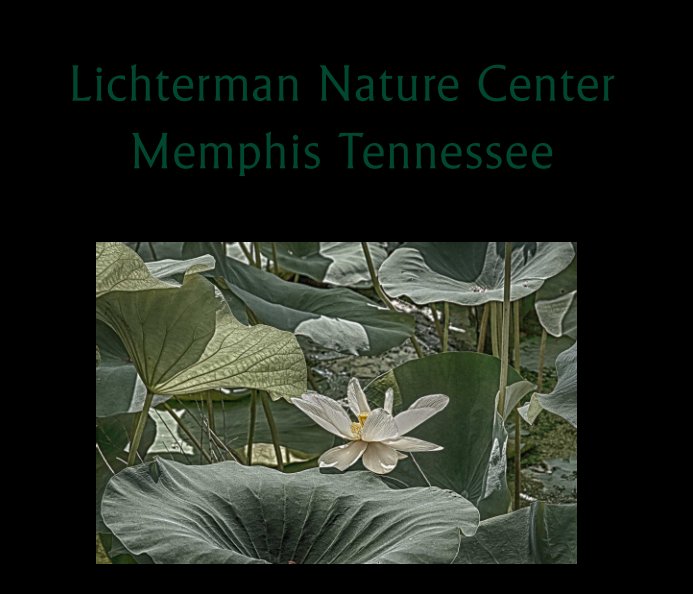View Lichterman Nature Center by Ricky W. Burk