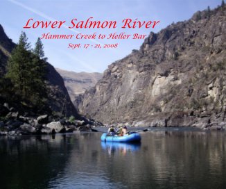 Lower Salmon River book cover