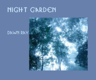 Night Garden book cover