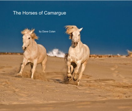The Horses of Camargue book cover