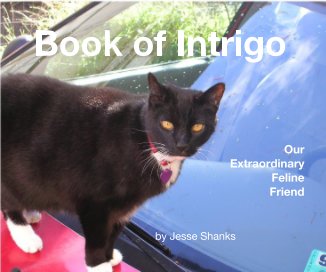 Book of Intrigo book cover