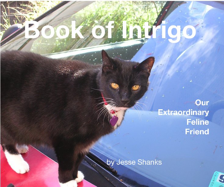 View Book of Intrigo by Jesse Shanks