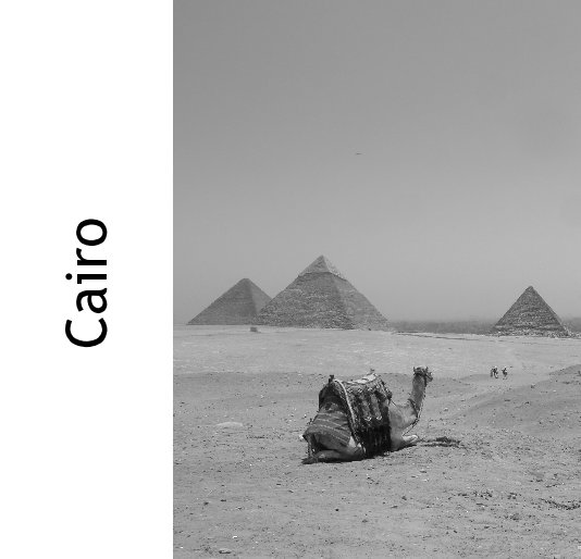 View Cairo by Susanne Gebert