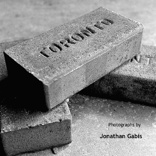 View Toronto by Jonathan Gabis