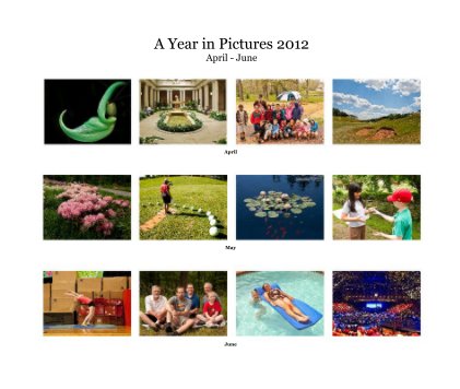 A Year in Pictures 2012 April - June book cover