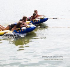 Sheedy Lake Escape 2012 book cover