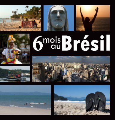 Brésil 2011 book cover
