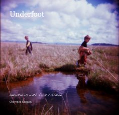 Underfoot book cover