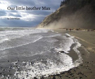 Our little brother Max book cover