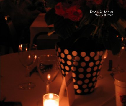 Dave & Sandi
     March 31, 2007 book cover