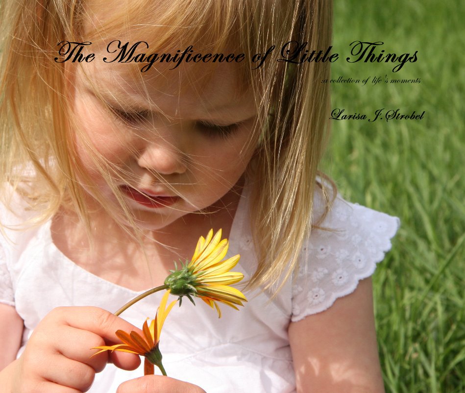View The Magnificence of Little Things :a collection of life's moments by Larisa J.Strobel