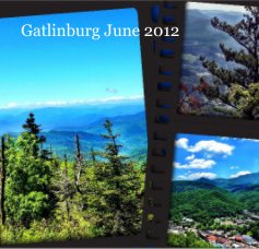 Gatlinburg June 2012 book cover