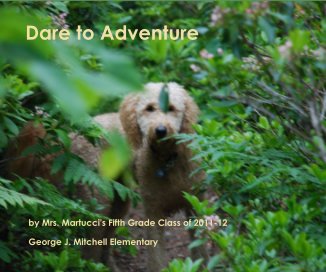 Dare to Adventure book cover