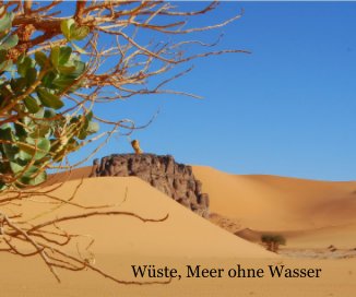 Wüste, Meer ohne Wasser book cover