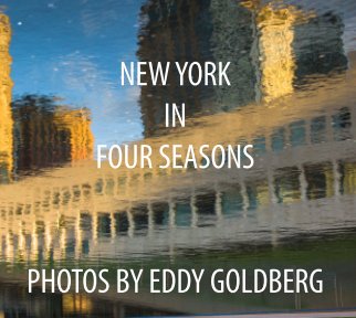 NEW YORK IN FOUR SEASONS book cover