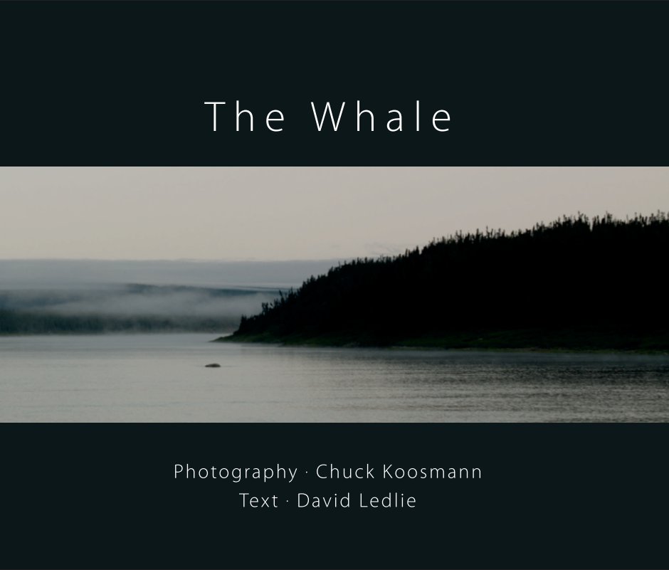 View The Whale by Chuck Koosmann
