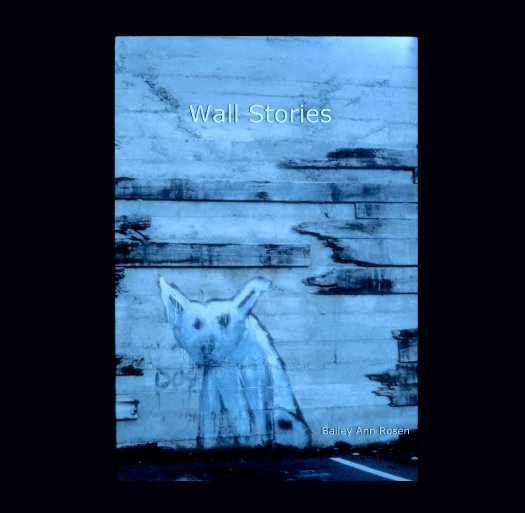 View Wall Stories by Bailey Ann Rosen