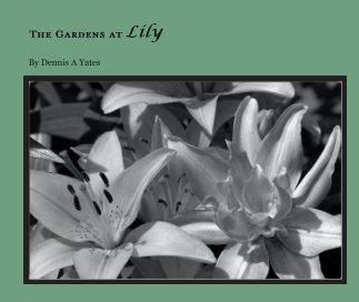 The Gardens at Lily book cover