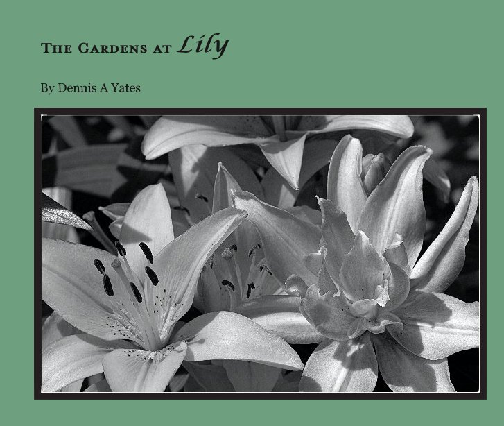 View The Gardens at Lily by Dennis A Yates