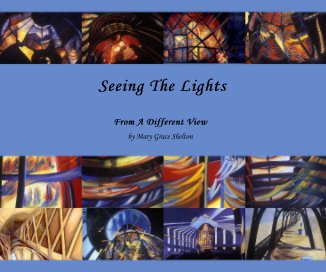 Seeing The Lights book cover