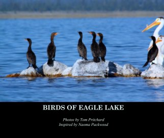 BIRDS OF EAGLE LAKE book cover