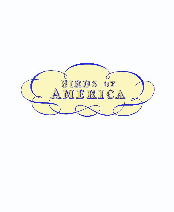Bekijk BIRDS OF AMERICA op JOEL SEAH