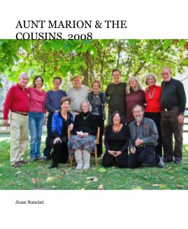 AUNT MARION & THE COUSINS, 2008 book cover